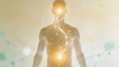 The gut brain connection: what the science actually says