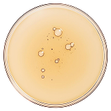 Vitamin E (alpha-Tocopherol)