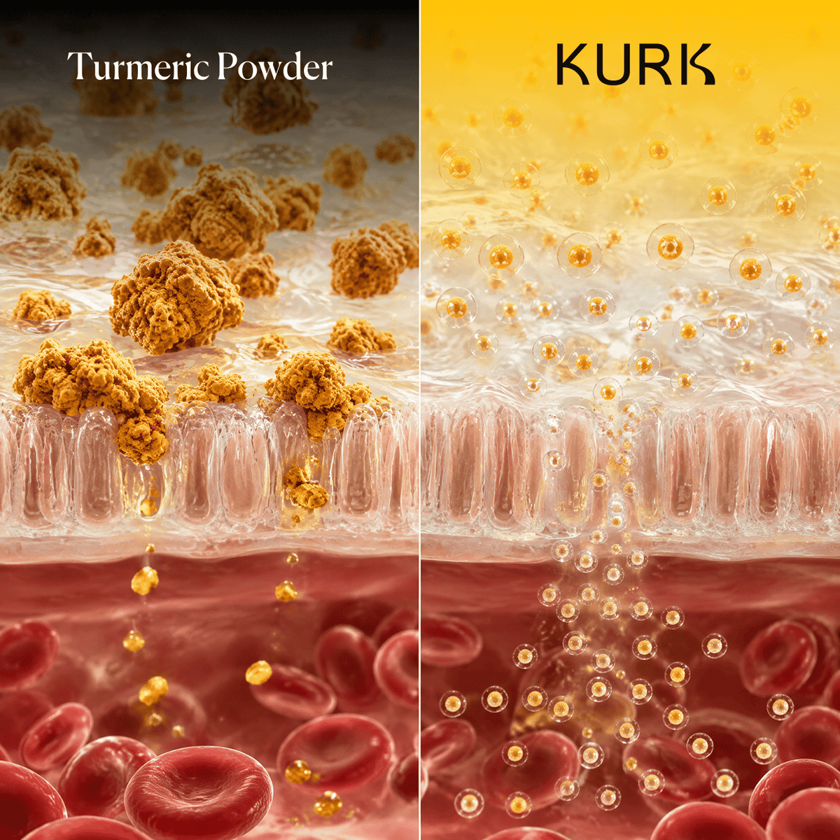 Comparison of turmeric powder and KURK curcumin particles moving through a tissue illustration